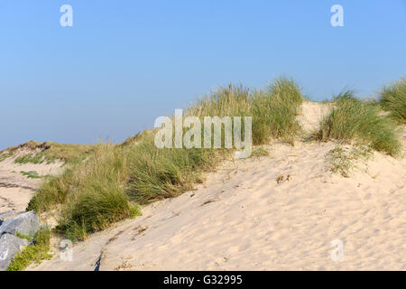 Dune de Pirou, une commune française, située dans la péninsule du Cotentin dans la Manche en Basse-normandie, dans le nord-ouest de la France Banque D'Images