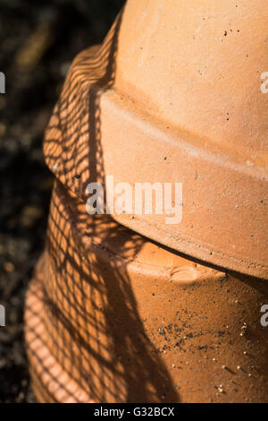 2 pots en terre cuite dans le jardin Banque D'Images