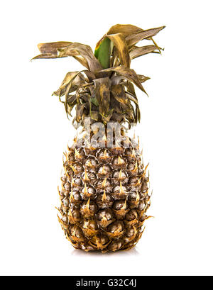 Rotten l'ananas sur un fond blanc Banque D'Images