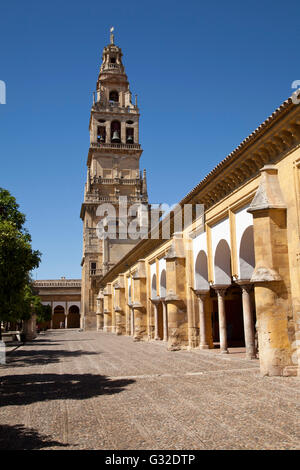 Clocher et cloître de la Mezquita, mosquée-cathédrale de Cordoue, aujourd'hui une cathédrale, autrefois une mosquée, Cordoue, Andalousie Banque D'Images