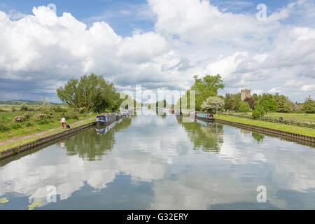 Le Gloucester et la netteté du canal près de Frampton sur Severn, Gloucestershire, England, UK Banque D'Images