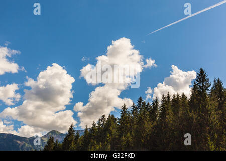 Belle et dynamique avec cloudscape ciel bleu intense et quelques arbres sur la montagne avec un seul jet trail Banque D'Images