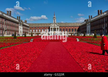 Chelsea Flower Show 2016 Banque D'Images