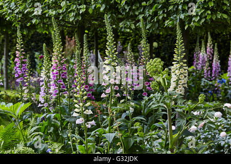 Chelsea Flower Show 2016 Charlie Albone Jardin Husqvarna Banque D'Images