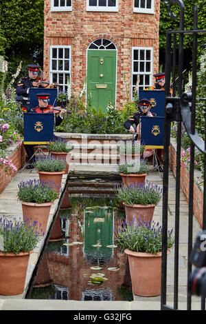 Chelsea Flower Show 2016 Le Britannique Harrods excentriques jardin conçu par Diarmuid Gavin Banque D'Images