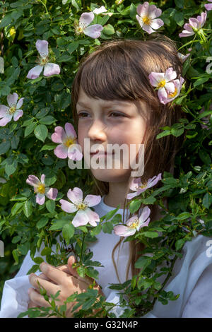 Âge de l'innocence, fille de 7 ans dans les arbustes florissants de rose sauvage portrait d'enfant visage de fille dans l'arbuste froncant Banque D'Images