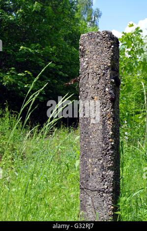 Ancien poteau de clôture en béton dans la forêt. Banque D'Images