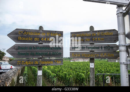 La signalisation routière à un carrefour à St Emilion, Bordeaux avec des rangées de vignes en arrière-plan Banque D'Images