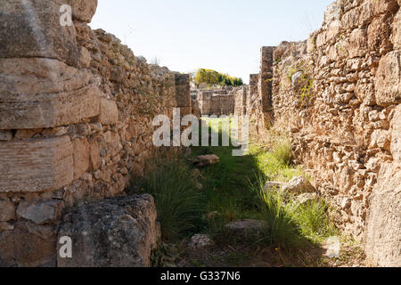 Ruines du palais royal d'Ugarit, Lattaquié, Syrie Banque D'Images