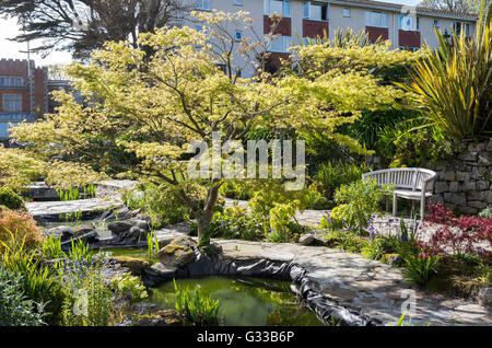 Un siège dans un beau jardin d'eau dans l'enceinte de l'hôtel Meudon à Cornwall UK Banque D'Images