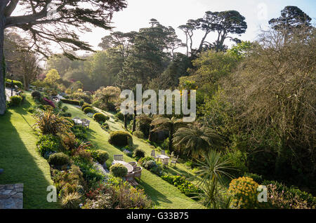 Tôt le matin, la lumière dans un hôtel jardin côtières à Cornwall Banque D'Images