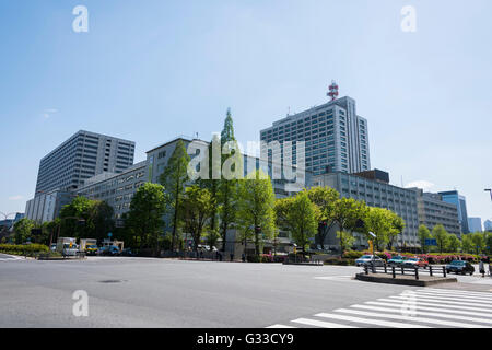 Ministère de l'Agriculture, des forêts et de la pêche, Chiyoda-Ku, Tokyo, Japon Banque D'Images