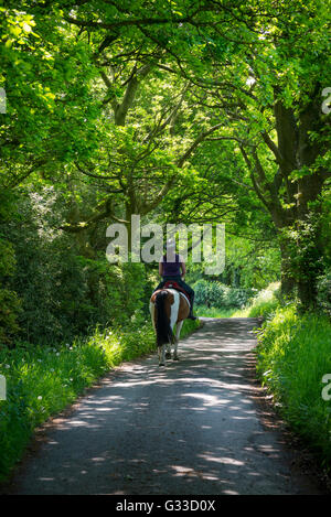 Horse Rider sur un chemin de campagne dans la campagne anglaise. Un jour d'été ensoleillé. Banque D'Images