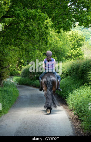 Horse Rider sur un chemin de campagne dans la campagne anglaise. Un jour d'été ensoleillé. Banque D'Images