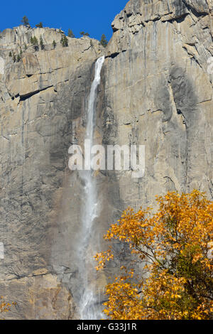 Automne à Yosemite NP, Mariposa CA Banque D'Images