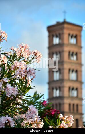 Des fleurs au temple de Portunus avec Basilica di Santa Maria in Cosmedin ou de Schola Graeca tour en arrière-plan Banque D'Images