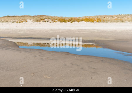 Papamoa sur crisp journée d'hiver clair, bleu ciel et mer de sable de l'horizon et l'ammophile beach. Banque D'Images