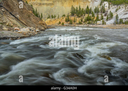 USA, Wyoming, Yellowstone, Parc National, l'UNESCO, Patrimoine Mondial, Yellowstone River Canyon Banque D'Images