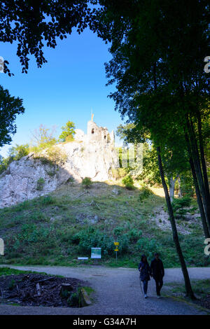 Parc Naturel Sparbach : Johannstein les ruines du château, l'Autriche, Niederösterreich, Autriche, Wienerwald, Hinterbrühl Banque D'Images