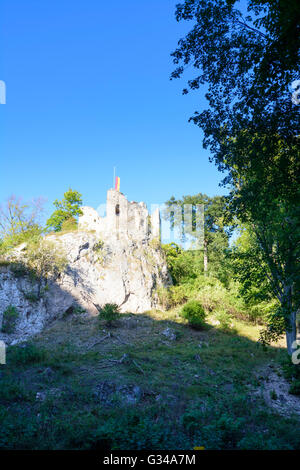 Parc Naturel Sparbach : Johannstein les ruines du château, l'Autriche, Niederösterreich, Autriche, Wienerwald, Hinterbrühl Banque D'Images