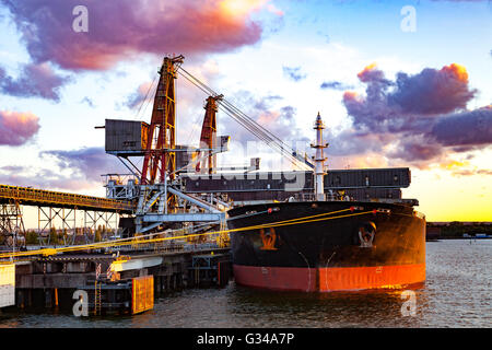 Grand navire sous un chargement de charbon dans le port de Gdansk, Pologne. Banque D'Images