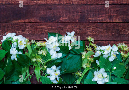 Branches de jasmin et linden tree branch sur un fond brun en bois Banque D'Images