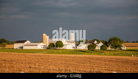 Champ de ferme amish blanc paysage champs de blé avec un ciel bleu foncé images Lancaster County, rural Pennsylvanie, États-Unis, maison ferme scène silos Pa images Banque D'Images