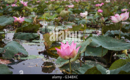 Lac de lotus rouge à Udonthani en Thaïlande avec l'arrière-plan flou, stock photo Banque D'Images