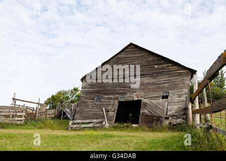 Vieille grange délabrée, au-delà de la nécessité pour la réparation assis abandonnés dans une ancienne ferme de la Saskatchewan rurale campagne Banque D'Images
