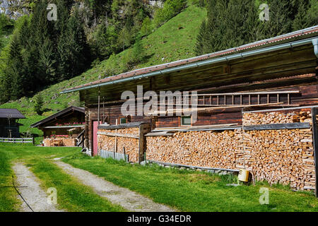 Scène agricole rustique. Bois de chauffage empilé par le chalet de montagne. Banque D'Images