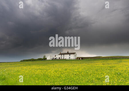 Teesdale, comté de Durham au Royaume-Uni. Le mardi 7 juin 2016. Météo britannique. Les nuages de tempête réunissant plus de prairies de fauche dans le North Pennines. Ces tempêtes apporté des pluies torrentielles et des orages à certaines régions du nord de l'Angleterre cet après-midi et soir. Crédit : David Forster/Alamy Live News Banque D'Images