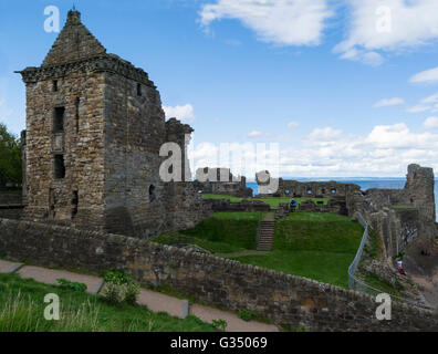 Les ruines pittoresques du Château de St Andrews Fife Ecosse sur un promontoire rocheux dominant une petite plage appelée château château de sables bitumineux d'Évêques St Andrews Banque D'Images