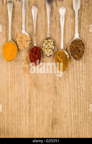 Différentes méthodes de cuisson des épices dans cuillères argenté posé à plat et disposés sur planche de bois avec copie espace Banque D'Images