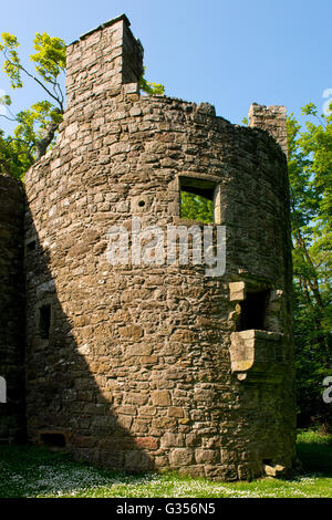 Le château de Loch Leven historique près de Kinross, Scotland. Banque D'Images