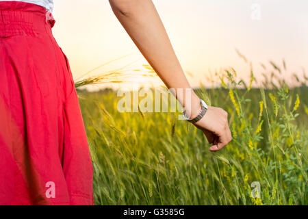 Jeune femme dans un champ de blé au coucher du soleil Banque D'Images