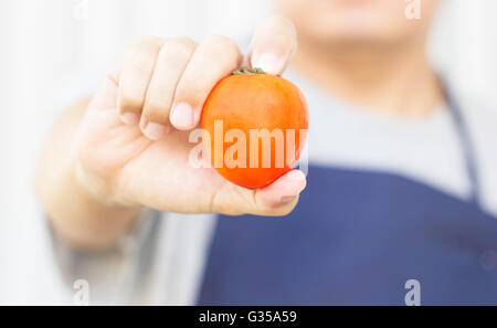 Tomate rouge frais dans la main de l'Homme asiatique Banque D'Images