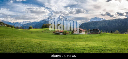 Paysage idyllique dans les Alpes avec de vertes prairies, fleurs et les sommets des montagnes enneigées en arrière-plan Banque D'Images