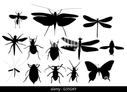 Jeu de silhouettes de coléoptères, libellules et papillons Illustration de Vecteur