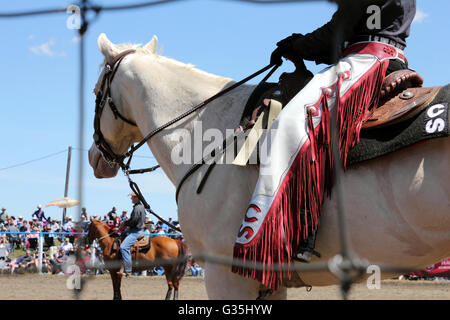 Un ramassage rider à un rodéo dans l'Alberta, Canada Banque D'Images