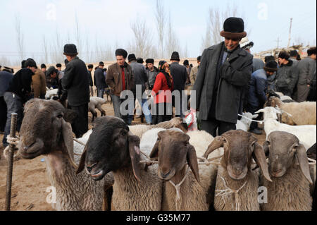 La province de Xinjiang en Chine, jour de marché dans le village ouïgour Langar près de Kashgar, marché au bétail , les gens vendent les moutons et l'agneau Banque D'Images