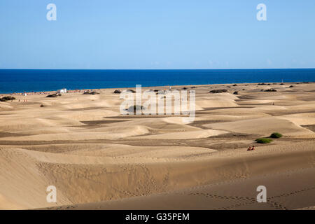 Dunas de Maspalomas et Playa del Ingles, Gran Canaria island, archipel des Canaries, l'Espagne, l'Europe Banque D'Images