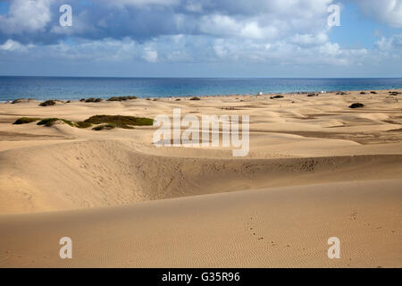 Dunas de Maspalomas et Playa del Ingles, Gran Canaria island, archipel des Canaries, l'Espagne, l'Europe Banque D'Images