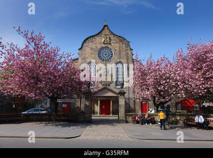 Moodie, Canongate Kirk, Édimbourg - salle de spectacle. Des cerisiers au printemps. Banque D'Images