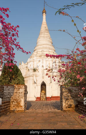 Stupa blanc au coucher du soleil, Bagan, pagodes, vieux temple Architecture, Myanmar, Birmanie, Asie du Sud, Asie Banque D'Images