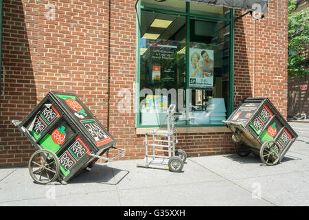 Un magasin de la propriété familiale D'Agostino chaîne de supermarchés à Greenwich Village à New York Lundi, juin6, 2016. La chaîne familiale qui à son apogée comptait 26 magasins est signalé à être à la recherche de vendre ses 9 autres magasins. La chaîne souffre de la concurrence, les deux briques et mortier et en ligne, ainsi que les baux coûteux. (© Richard B. Levine) Banque D'Images