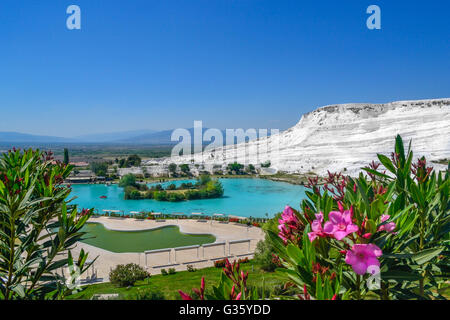 La Turquie, Pamukkale, voyage, vue, baignoire, blanc, minéral, fleurs rose de l'eau bleue, des sources chaudes, paysage, papier peint Banque D'Images