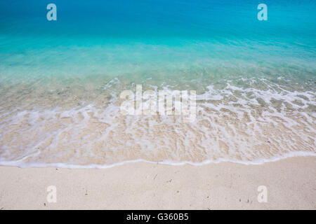 Shell belle plage de sable avec des eaux turquoise juste à l'extérieur de Fort Jefferson dans le parc national sec de Tortugas, Florida, USA Banque D'Images