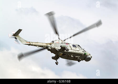Royal Navy Fleet Air Arm Westland WG-13 Lynx HMA8 Helicopter Banque D'Images