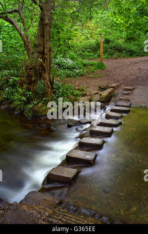 UK,South Yorkshire,Sheffield,Stepping Stones plus Porter Brook dans Whiteley Woods Banque D'Images