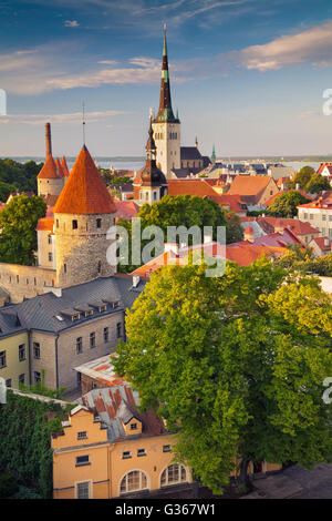 Tallinn. Droit de la vieille ville de Tallinn en Estonie pendant le coucher du soleil. Banque D'Images